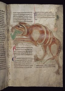 Ms.254 f.24 r Krokodil verschlingt einen Mann von English School