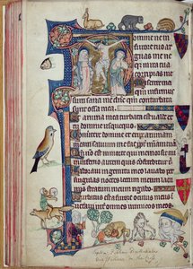 Ms 242 f.55v Die Kreuzigung, aus den Packham-Clifford Stunden, Gebrauch von Sarum, ca. 1314-31 (Goldblatt & Tempera auf Pergament) von English School