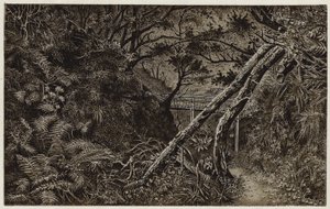 Mulgrave Woods, in der Nähe von Whitby von English School