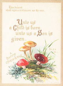 Pilze und Fliegenpilze, Weihnachtskarte von English School