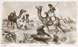 Straußenjagd - das Ende der Jagd, Illustration aus der Bildausgabe des Lebens und der Entdeckungen von David Livingstone von J. Ewing Richie, veröffentlicht von A. Fullarton & Co., 1876 von English School