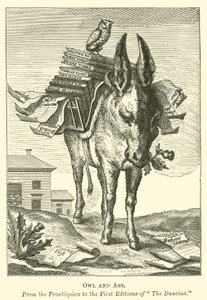 Eule und Esel von English School