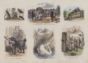 Seite aus dem Attraktiven Bilderbuch von English School