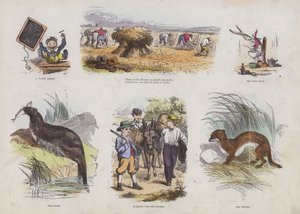 Seite aus dem attraktiven Bilderbuch (farbige Gravur) von English School