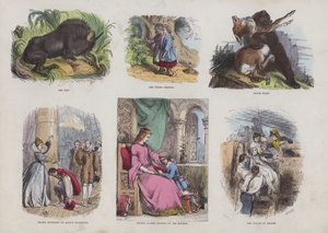 Seite aus dem attraktiven Bilderbuch von English School