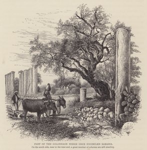 Teil der Kolonnade, die einst Samaria umgab (Gravur) von English School