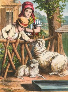 Ein Schaf streicheln von English School
