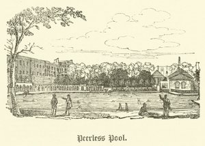 Peerless Pool (Gravur) von English School