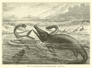 Plesiosaurus und Ichthyosaurus von English School