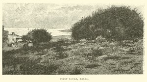 Point Koura, Malta von English School