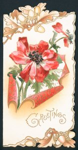 Mohnblume mit Eicheln, Karte