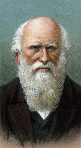 Porträt von Charles Robert Darwin (1809-1882) - Aus der Serie „Leaders of Men“ - Chromolithographie - Englische Schule, 20. Jahrhundert