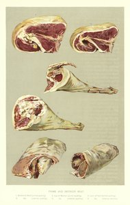Erstklassiges und minderwertiges Fleisch
