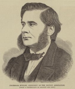 Professor Huxley, Präsident der British Association (Stich) von English School