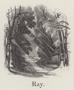 Strahl