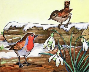 Rotkehlchen und Jenny Wren von English School
