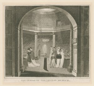 Rotunde im Leverian Museum von English School