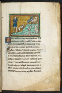 Ein Jäger oder Bauer mit Hunden, der Ziegen verfolgt, aus Bestiarium (ff. 3-141), Lapidarium (ff. 141v-149), 2. Viertel des 13. Jahrhunderts