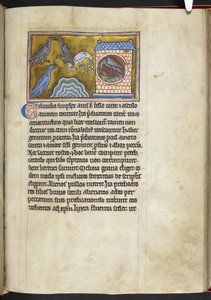 Tauben, aus Bestiarium von English School