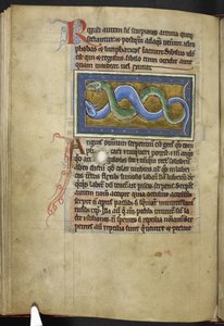 Anguis, aus Bestiarium