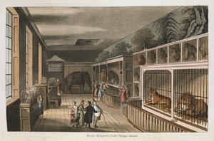 Königliche Menagerie, Exeter (Change Exchange), Strand. Ausgewählte Ansichten von London: mit historischen und beschreibenden Skizzen einiger der interessantesten öffentlichen Gebäude, zusammengestellt und arrangiert von J.B. Papworth. John Buonarotti Papw von English School