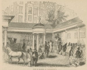 Pferdeverkauf bei Tattersalls