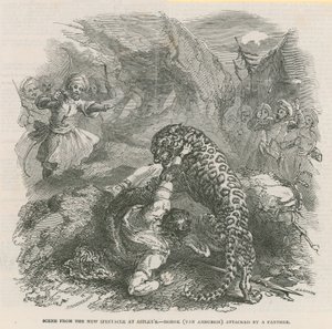 Szene aus dem neuen Spektakel in Astleys - Morok (Van Amburgh) wird von einem Panther angegriffen von English School