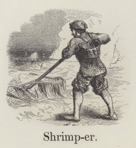Krabbenfischer