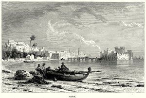Sidon von English School
