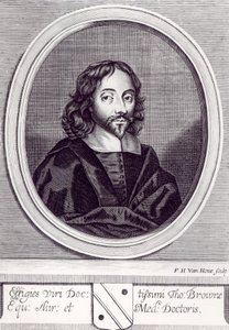 Sir Thomas Browne (1605-82), graviert von Frederick Hendrick van Hove (ca. 1628-98)