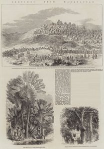 Skizzen aus Madagaskar (Gravur) von English School