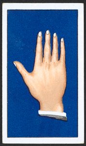 Glatte spitze Fingerhände von English School