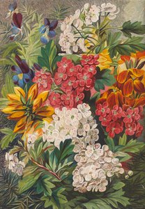 Frühlingsblumen von English School