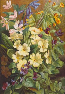 Frühlingsblumen von English School