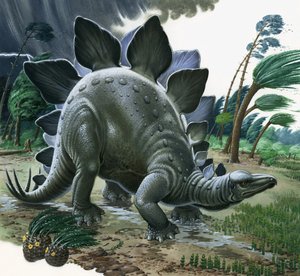 Stegosaurus