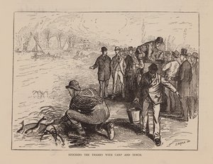Besatzung der Themse mit Karpfen und Schleien von English School