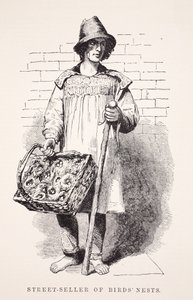 Straßenverkäufer von Vogelnestern, Illustration aus London Labour and London Poor von Henry Mayhew, veröffentlicht 1862