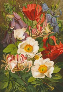 Sommerblumen von English School