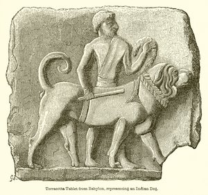 Terrakotta-Tafel aus Babylon, die einen indischen Hund darstellt von English School