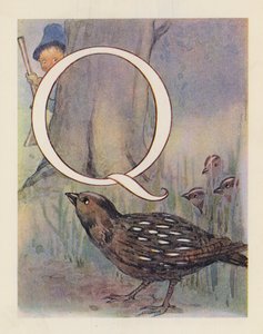 Das Tier-ABC: Buchstabe Q, Wachtel von English School