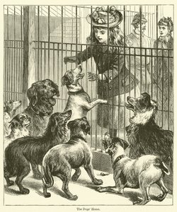 Das Hundeheim (Gravur) von English School