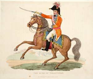 Der Herzog von Wellington, veröffentlicht von Richard Evans, graviert von Romney, Illustration aus An Historical Account of the Battle of Waterloo von William Mudford, 1816
