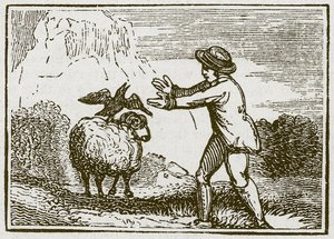 Der Adler und die Krähe (Gravur) von English School