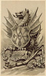 Das Emblem von Wales