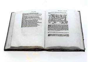 Der Fuchs und die Trauben, aus einer illustrierten Übersetzung von Äsops Fabeln von William Caxton (ca. 1422-91) 1434