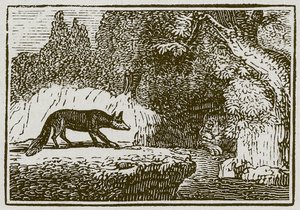 Der Fuchs und der kranke Löwe von English School