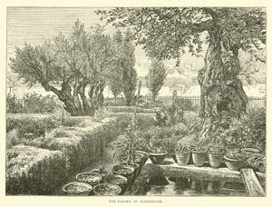 Der Garten Gethsemane von English School