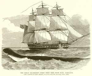 Die große Seeschlange, als sie zum ersten Mal von der H.M.S. Daedalus gesehen wurde
