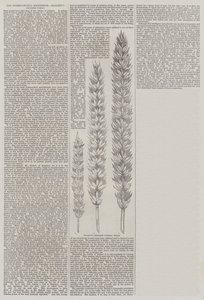 Die Internationale Ausstellung, Hallett