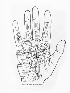 Das Modellhand (Rechts) von English School